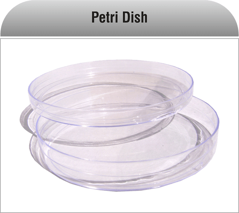 Blood Collection Accessories